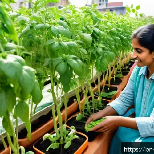 Home 32 수경재배와 전통 농업의 차이 - A vibrant urban balcony garden in a Bengali household, showcasing a hydroponic system with lush gree...